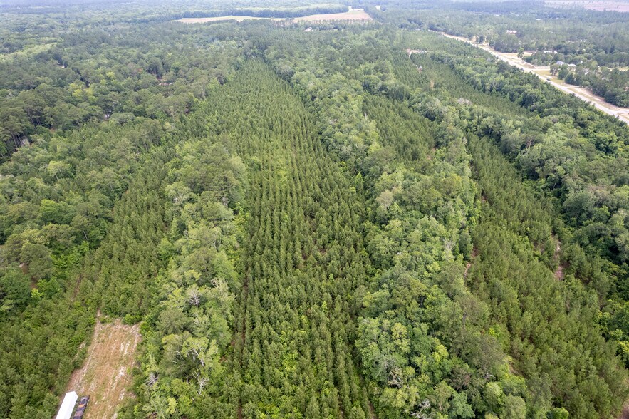 More Photos Of 425 Old River Rd, Bloomingdale Land For Sale