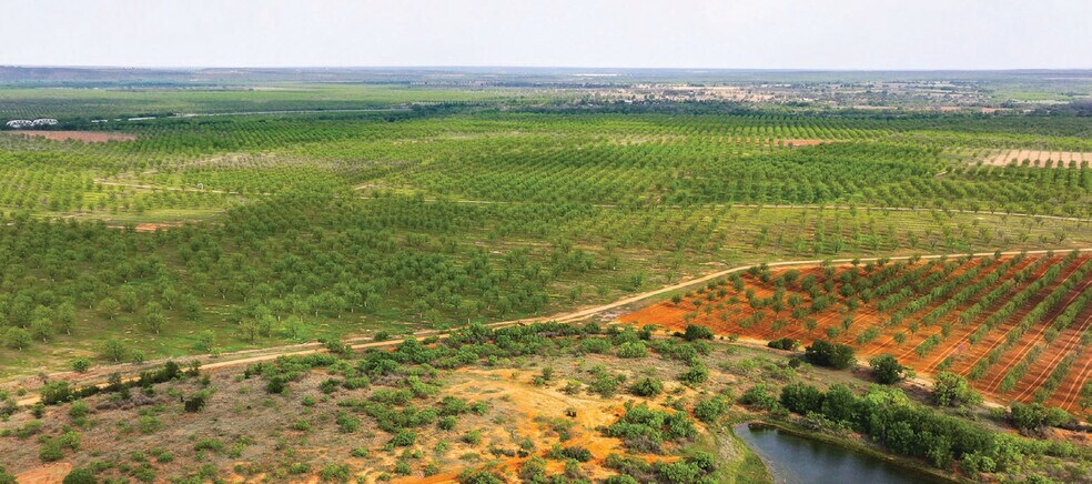 More Photos Of 450 County Road 417, Goldthwaite Land For Sale
