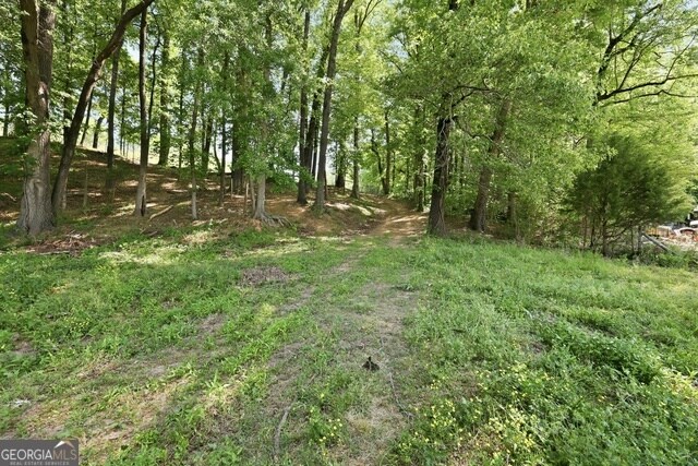 More Photos Of 3120 W Currahee St, Toccoa Land For Sale