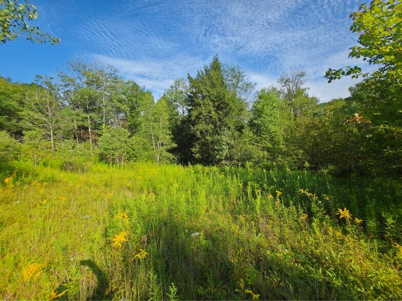 More Photos Of State St., Saint Marys Land For Sale