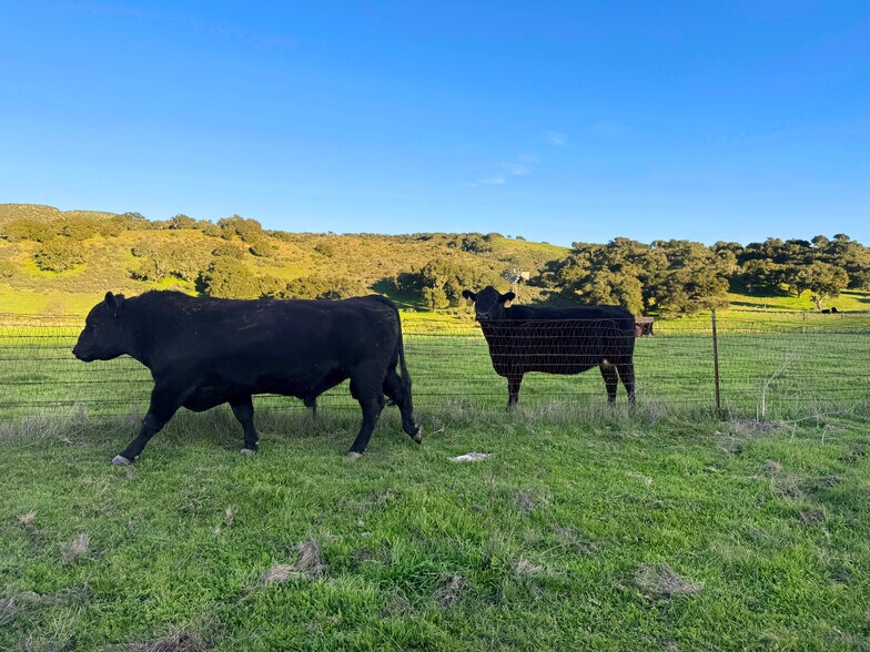 More Photos Of 1701 246 hwy, Buellton Land For Sale