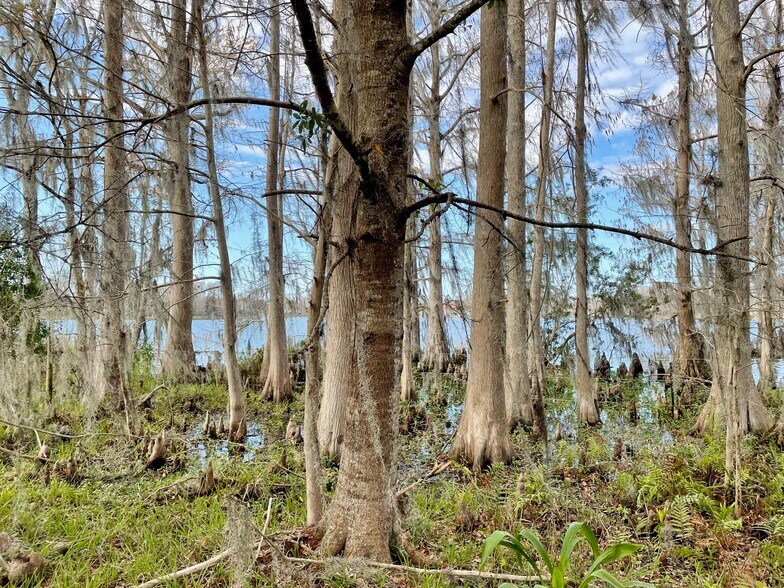 More Photos Of 19858 State Road 52, Land O' Lakes Land For Sale