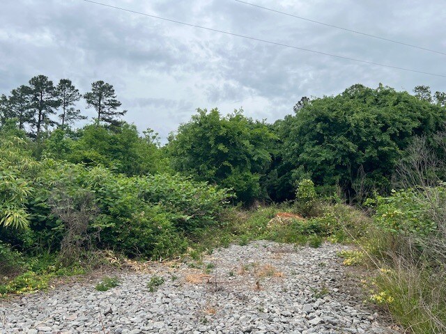 Primary Photo Of 3320 Tryon Rd, Raleigh Land For Sale