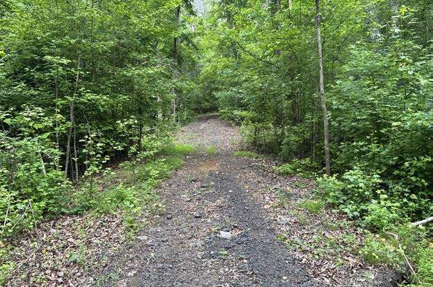 More Photos Of 1087 Bobby Faucette Rd, Jonesville Land For Sale