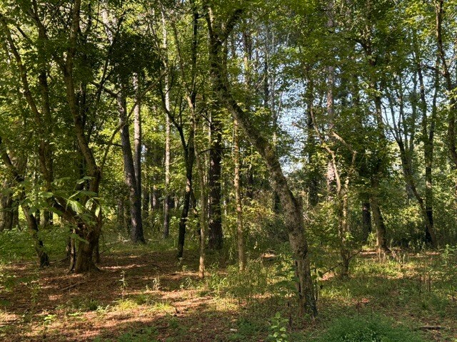More Photos Of 19 Canter Ln NE, Cartersville Land For Sale