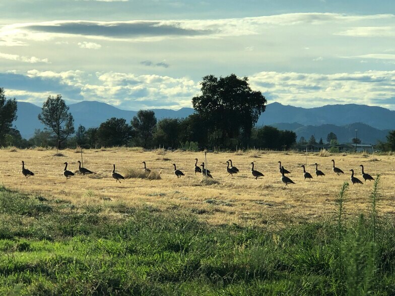 More Photos Of 21623 Seven Lakes Ln, Redding Land For Sale