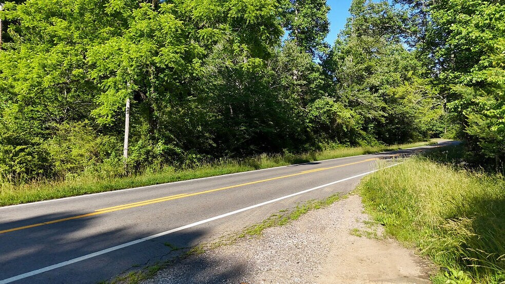 Primary Photo Of 11061 NC-294 Hwy, Murphy Land For Sale