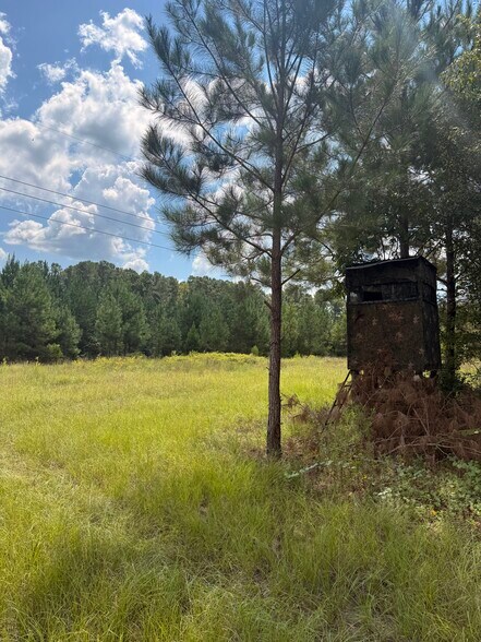 More Photos Of 333 Samuel Dr, Springfield Land For Sale