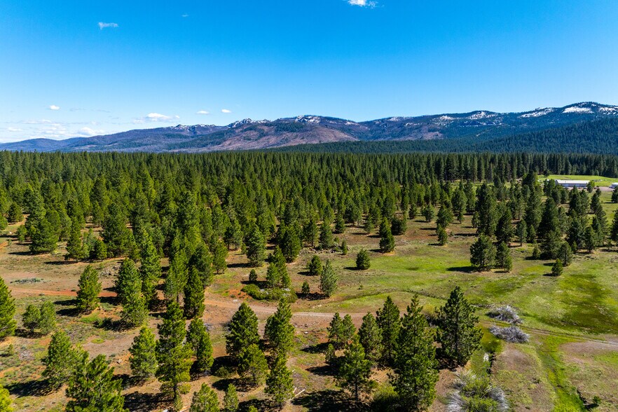More Photos Of 000 000 Delwood Street, Westwood Land For Sale
