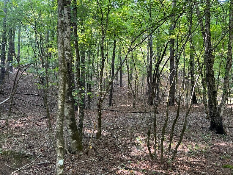 More Photos Of 92 Lillian Strong rd, Carlton Land For Sale
