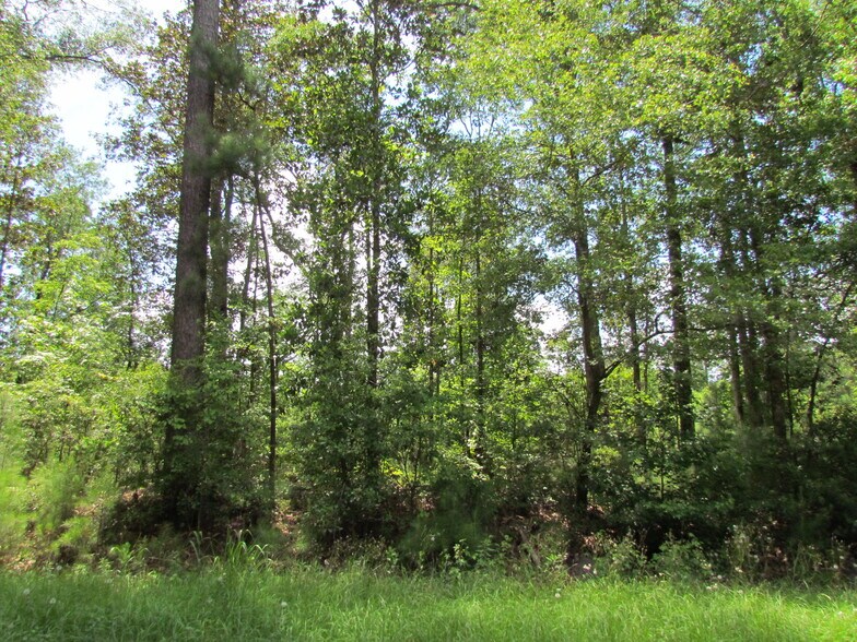 More Photos Of 214 Seabrook, Seabrook Land For Sale