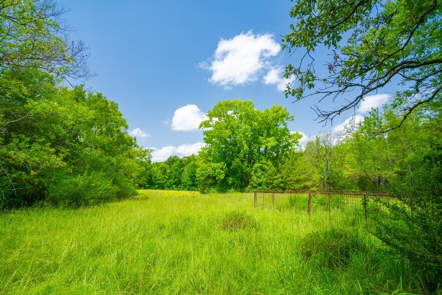 More Photos Of County Road 3311, Omaha Land For Sale