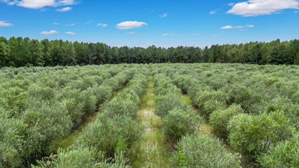 More Photos Of 2437 GA Highway 121, Glennville Land For Sale