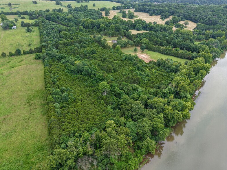 More Photos Of 29668 Farm Road 1268, Golden Land For Sale