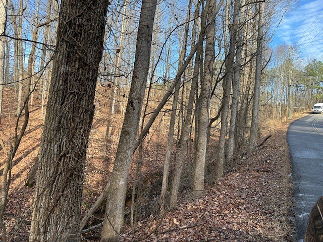 More Photos Of 00 Ash St, Canton Land For Sale