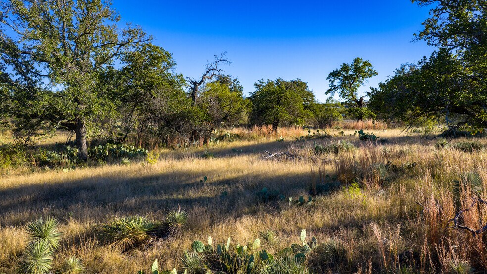 More Photos Of 7499 US 87 hwy, Mason Land For Sale