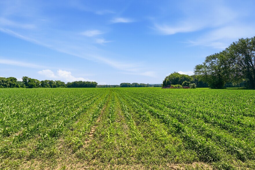 More Photos Of 0 Meadow Road, Glastonbury Land For Sale