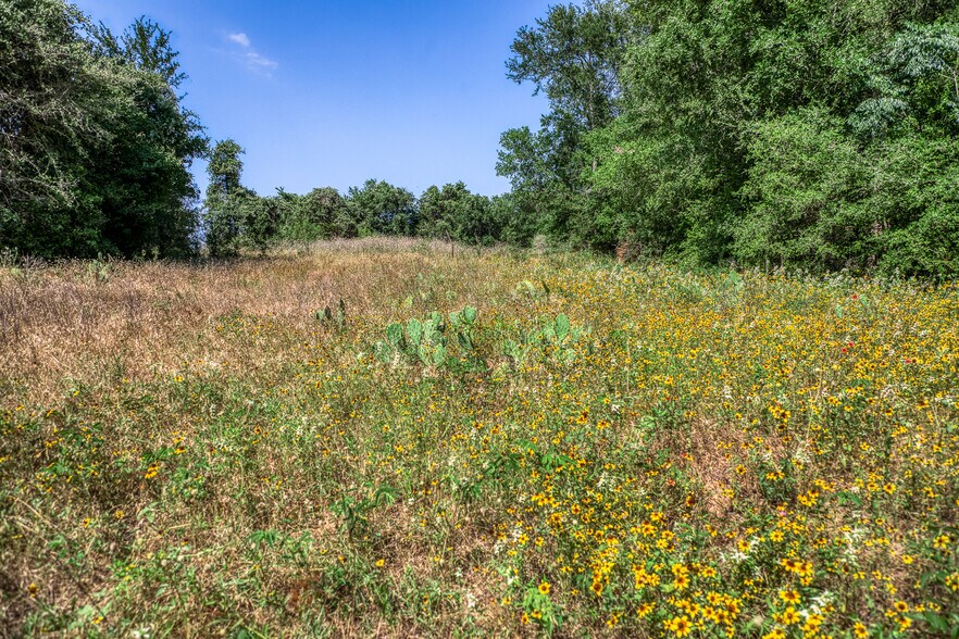More Photos Of TBD (+/-88 Acres) Smith Rd, Bastrop Land For Sale