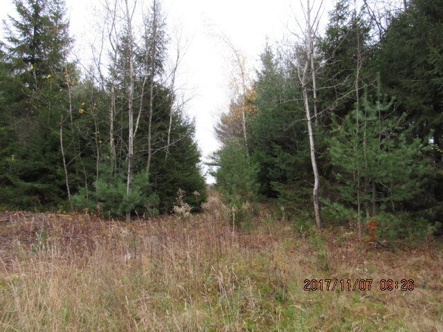 More Photos Of 86 Jefferson St, Monticello Land For Sale