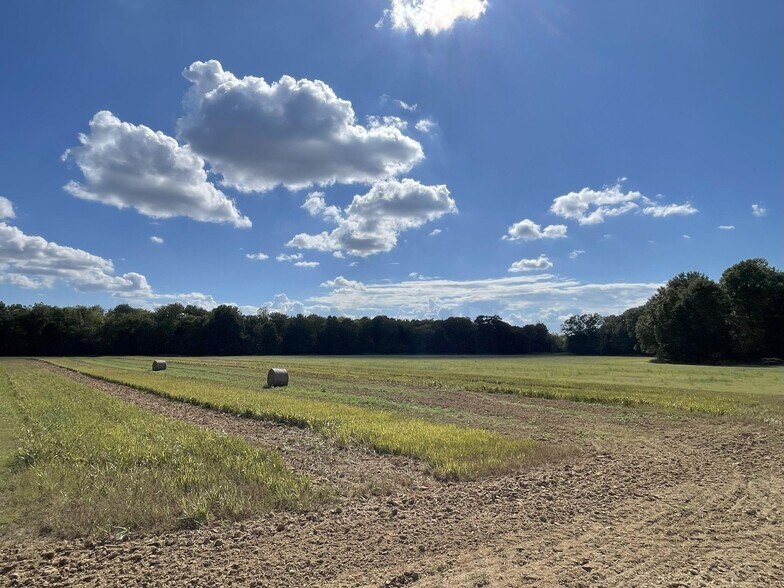 More Photos Of County 21 & Bell Grayson Road hwy, Demopolis Land For Sale