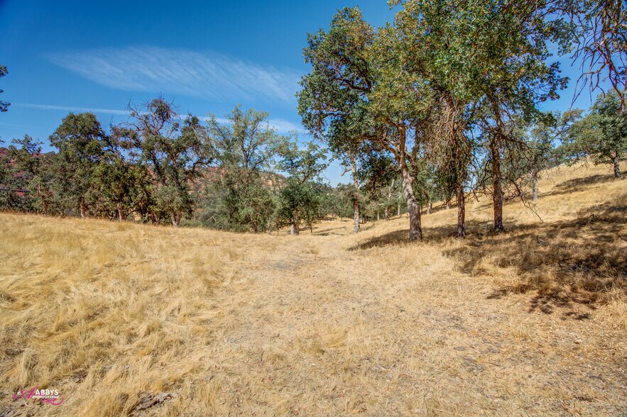 More Photos Of 14718 CA-155 Hwy, Glennville Land For Sale