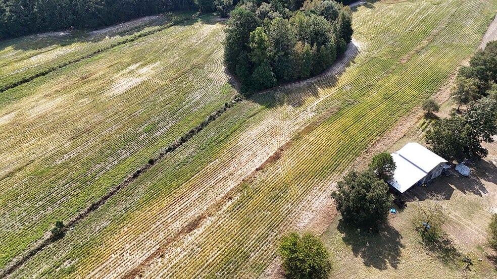 More Photos Of 7408 Matt Hair Rd, Fayetteville Land For Sale