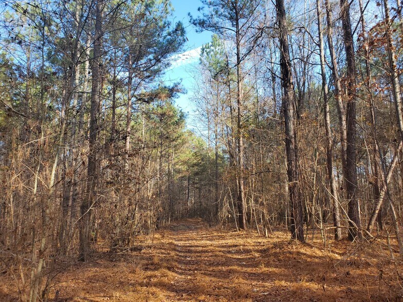 More Photos Of 00 Martin Pond, Wendell Land For Sale