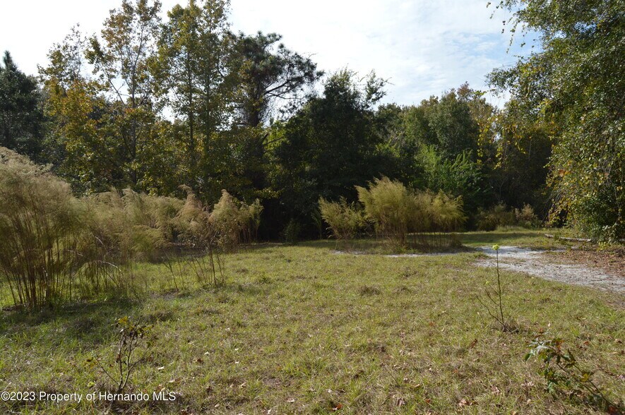More Photos Of 0 Algood Rd, Spring Hill Land For Sale