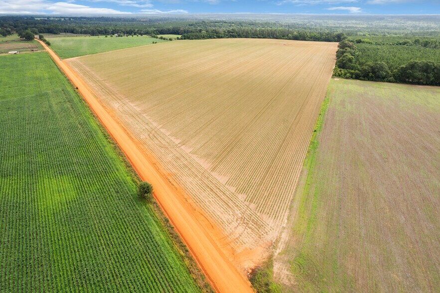 More Photos Of 0 Old Stage rd, Repton Land For Sale