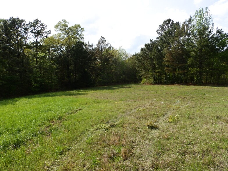 More Photos Of 19522 HWY 155, Flint Land For Sale