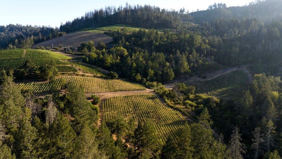 More Photos Of 3000 Mount Veeder Rd, Napa Winery Vineyard For Sale