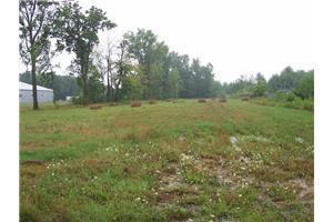 More Photos Of 0 Van Dyke Rd, Almont Township Land For Sale