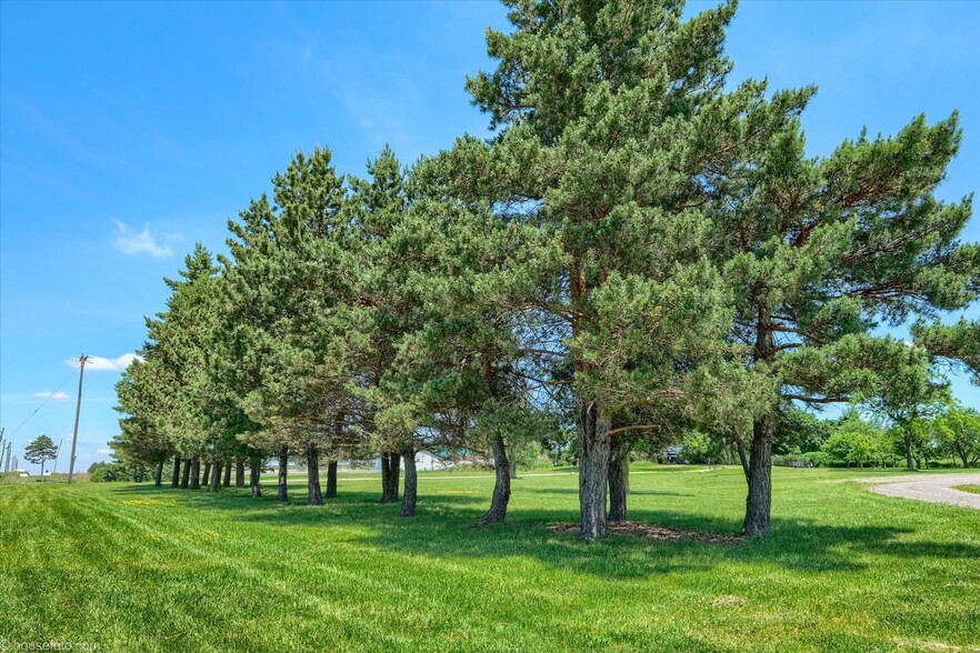 More Photos Of 3909 S Van Dyke Rd, Marlette Religious Facility For Sale