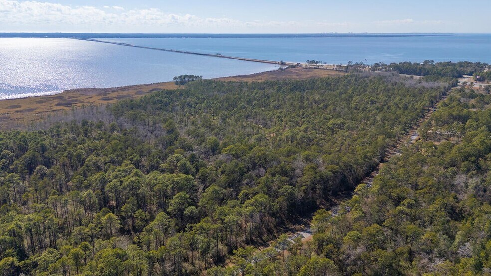 More Photos Of Hwy 331 S & Jolly Bay Road, Freeport Land For Sale