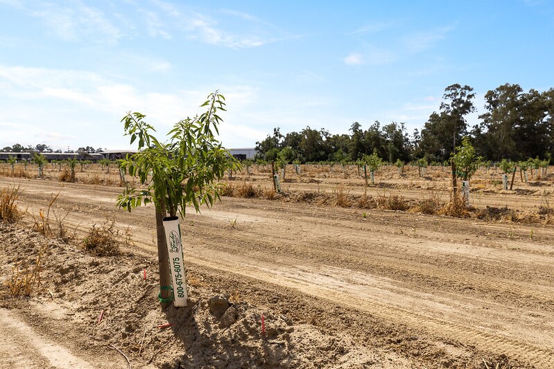 More Photos Of 0 Moon Rd, Corning Land For Sale