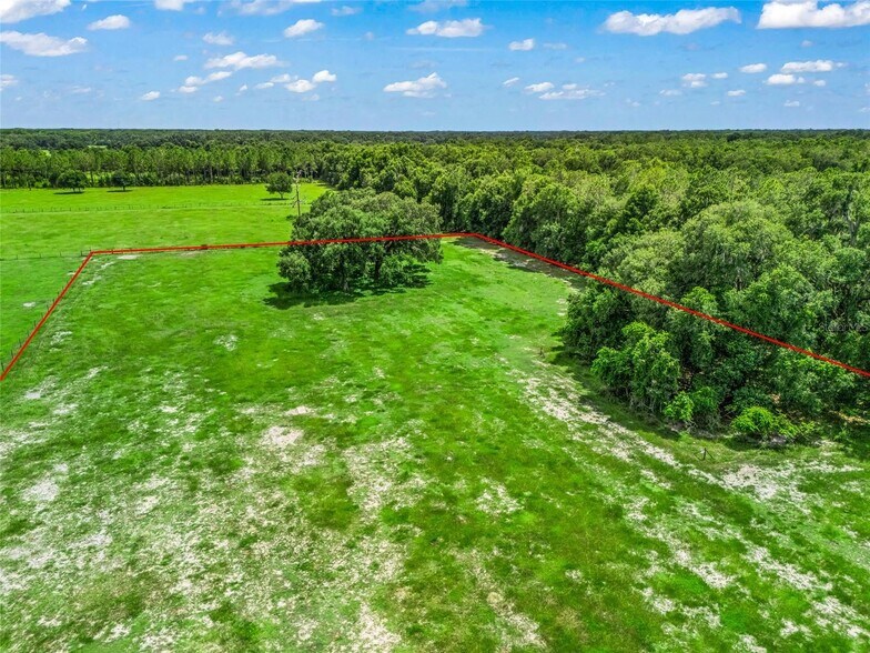 More Photos Of CR 738, Webster Land For Sale