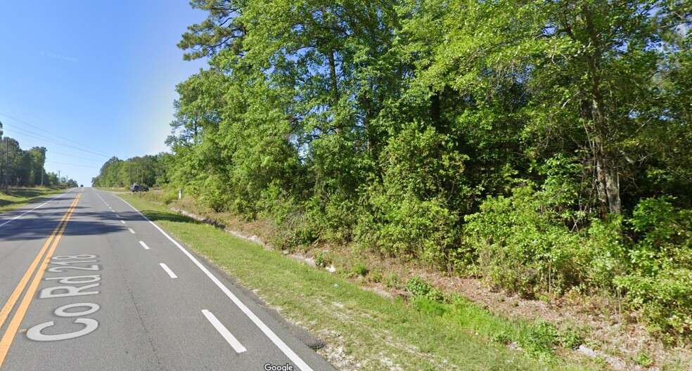 Primary Photo Of County Road 218, Middleburg Land For Sale