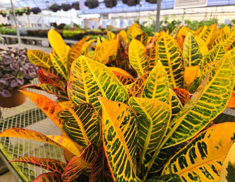 More Photos Of 22085 580th Ave, Ames Specialty For Sale