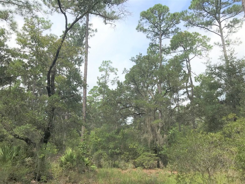 More Photos Of 6822 Hilliard St, Southport Land For Sale