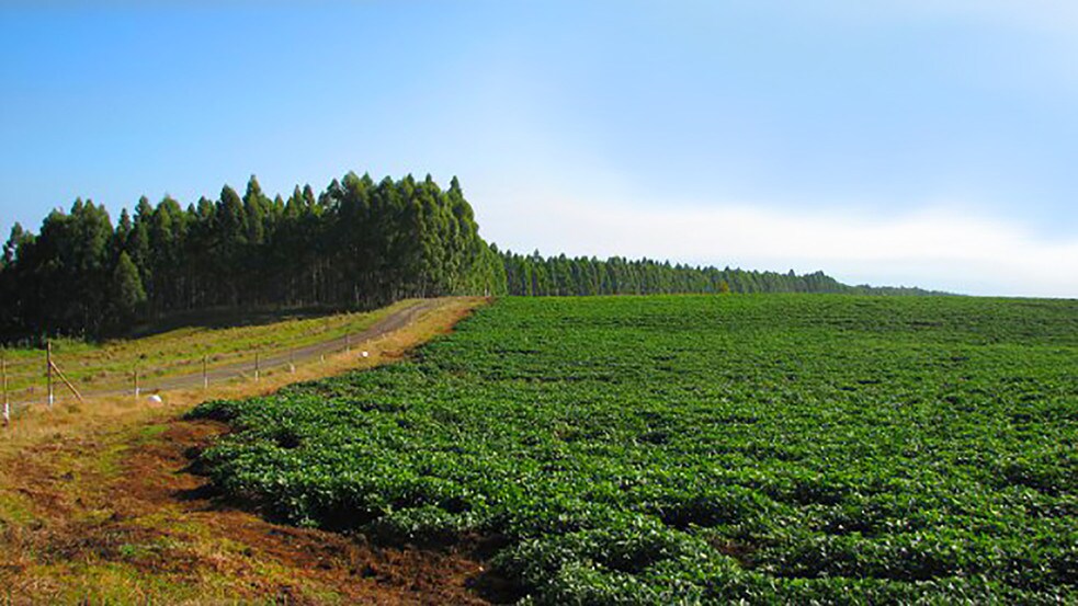 More Photos Of 27-5159 Puia Rd, Papaikou Land For Lease