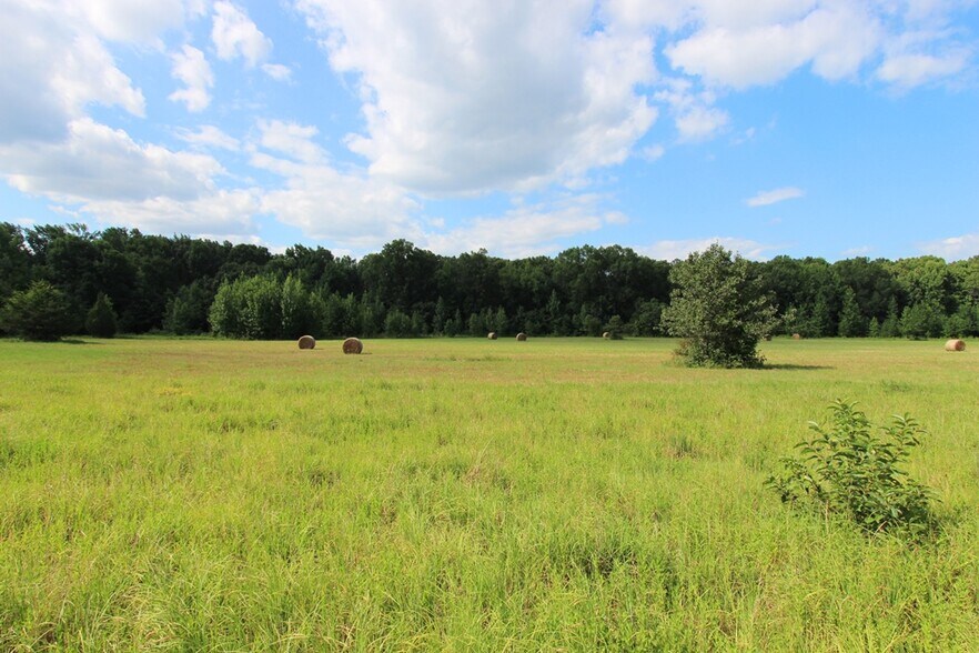 More Photos Of 278 Highway 64 E, Conway Land For Sale