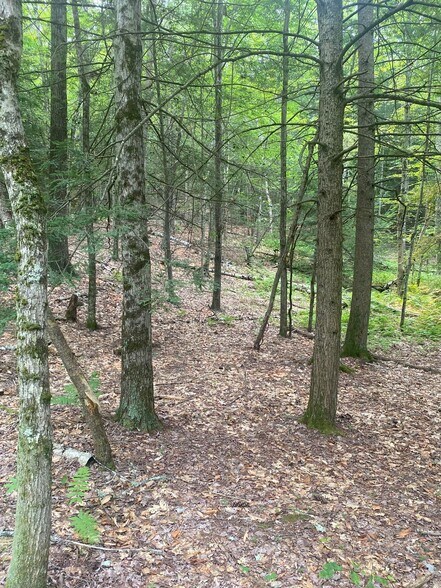 More Photos Of Daggett Hill (TM R16-3) Rd, Westmoreland Land For Sale