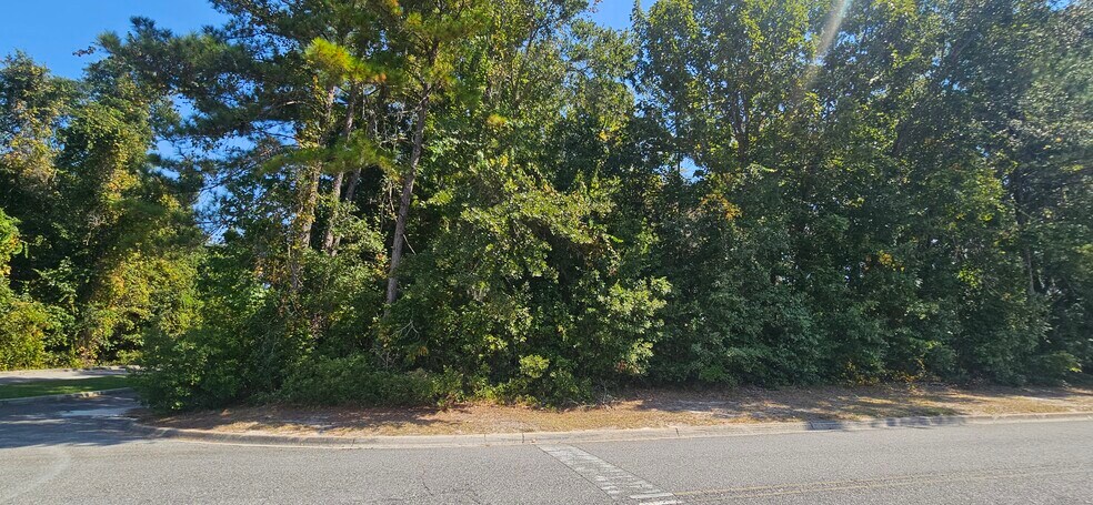 More Photos Of TBD SW Newland Way, Lake City Land For Sale
