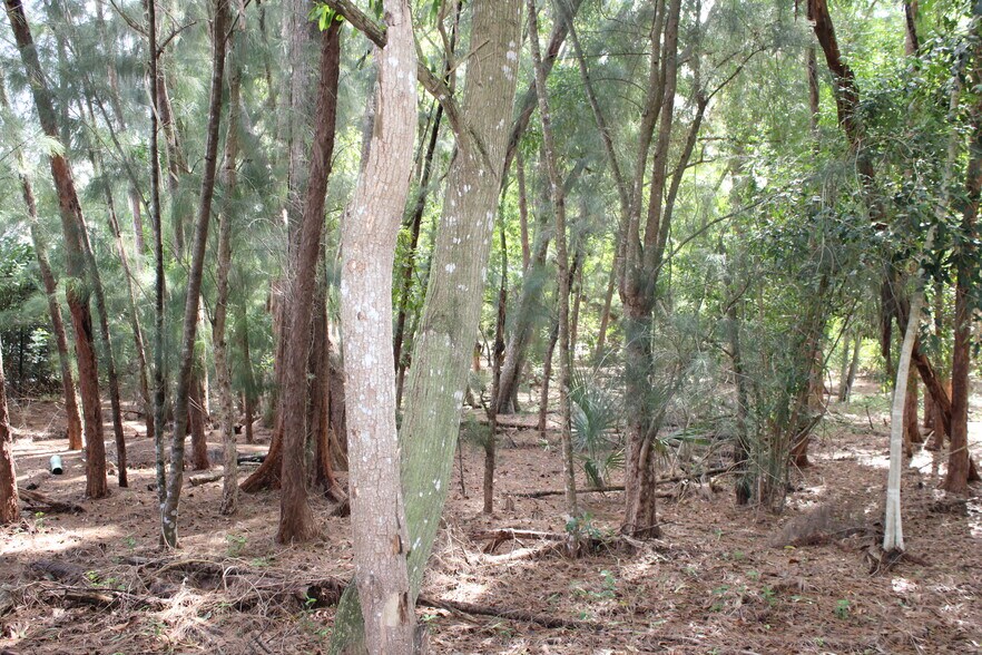 More Photos Of 7533 Hagen Ranch Road, Delray Beach Land For Lease