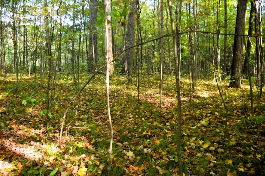 More Photos Of 8568 Ludington Dr, Lake Land For Sale