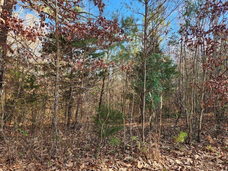 More Photos Of 1310 Mayflower Rd, Sale Creek Land For Sale