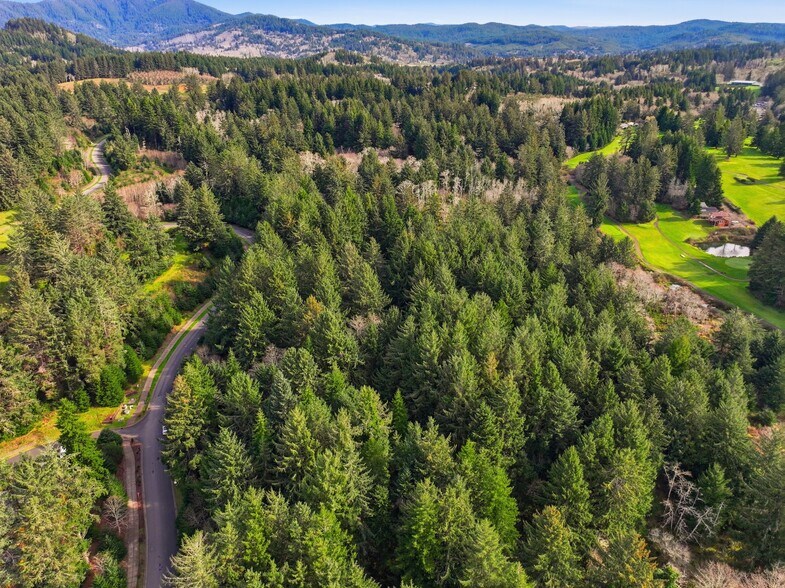 More Photos Of 0 NE Devil's Lake Blvd, Lincoln City Land For Sale