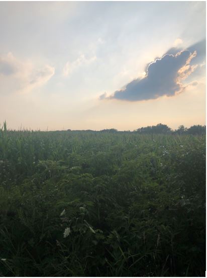 More Photos Of 370 S. Brier Hill Rd, Hampshire Land For Sale