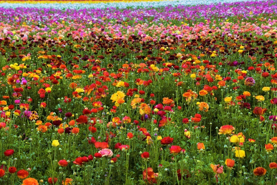 More Photos Of 2652 Jefferson St, Carlsbad Apartments For Sale