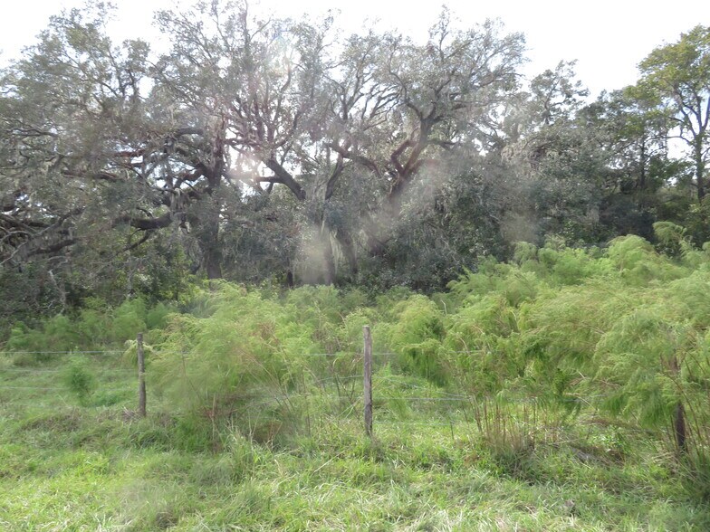 More Photos Of 14451 Curley Rd, Dade City Land For Sale